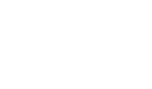 zid-en-logo-colored copy